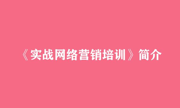 《实战网络营销培训》简介