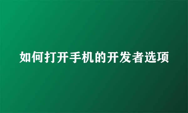 如何打开手机的开发者选项