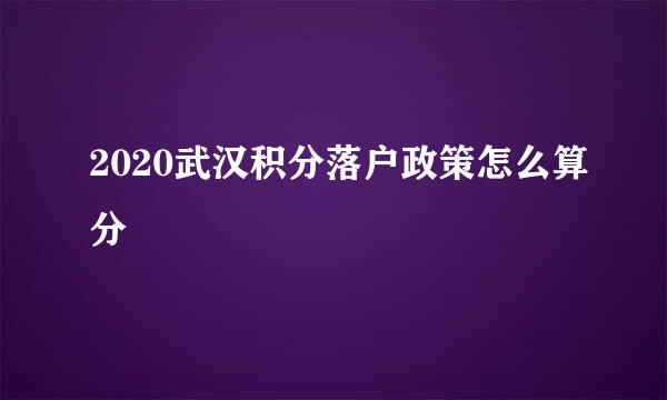 2020武汉积分落户政策怎么算分