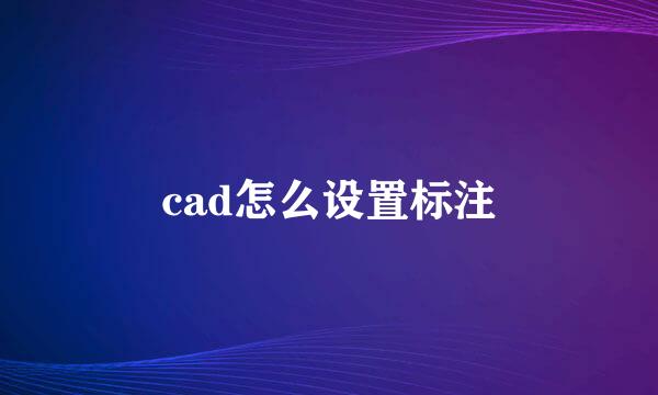 cad怎么设置标注