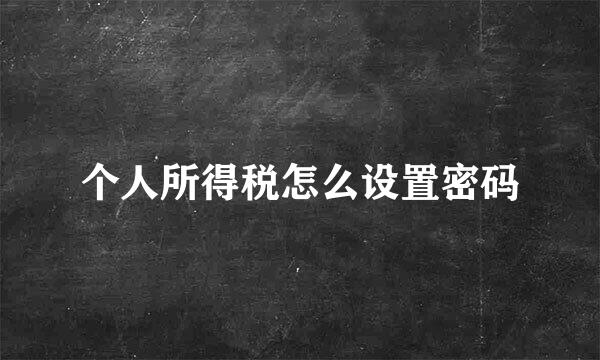个人所得税怎么设置密码