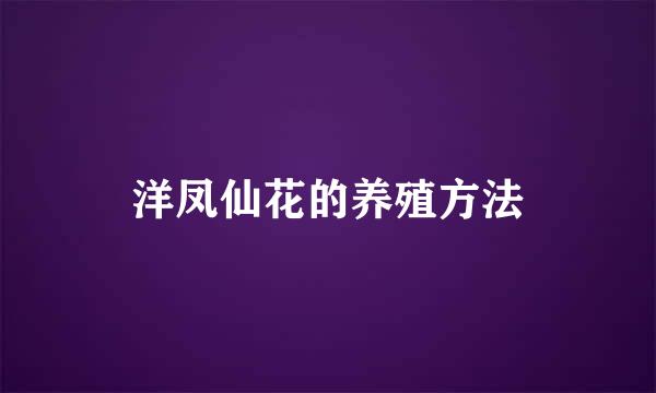 洋凤仙花的养殖方法