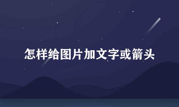 怎样给图片加文字或箭头