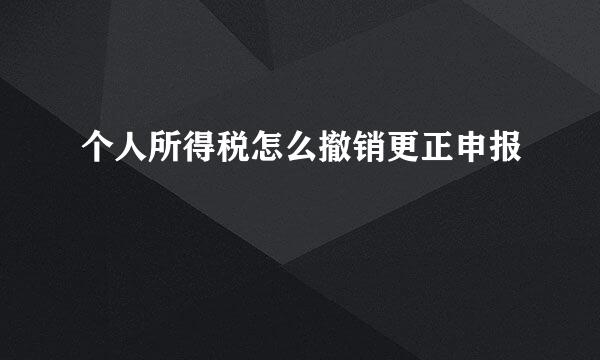 个人所得税怎么撤销更正申报