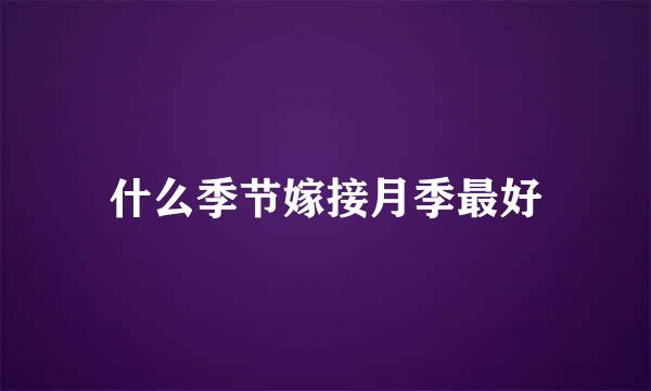 什么季节嫁接月季最好