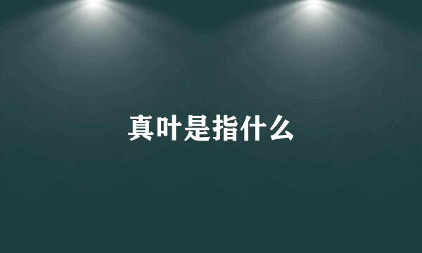 真叶是指什么