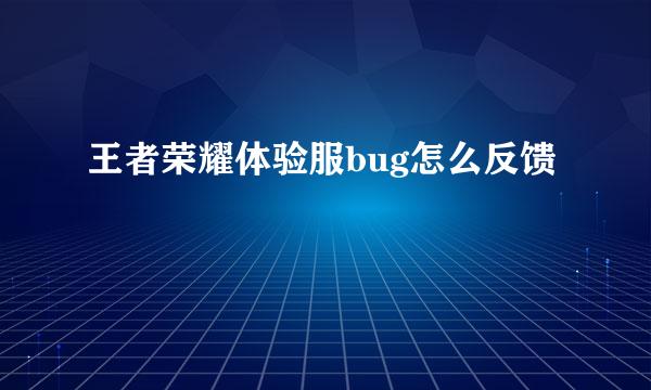 王者荣耀体验服bug怎么反馈