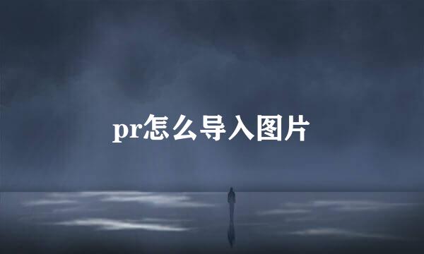 pr怎么导入图片