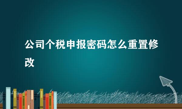 公司个税申报密码怎么重置修改