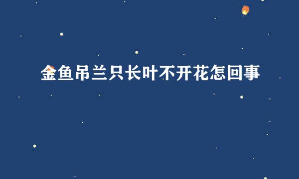 金鱼吊兰只长叶不开花怎回事