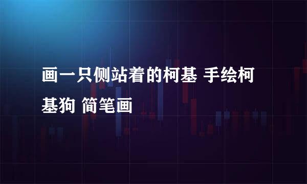 画一只侧站着的柯基 手绘柯基狗 简笔画