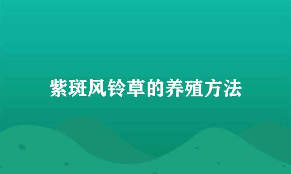紫斑风铃草的养殖方法