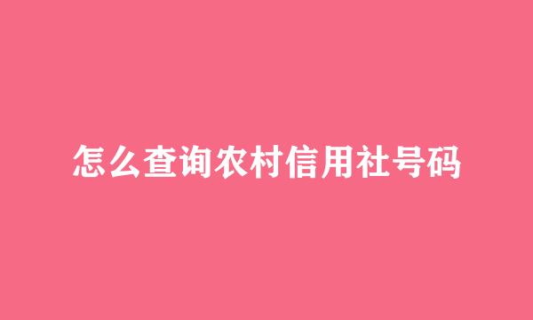 怎么查询农村信用社号码