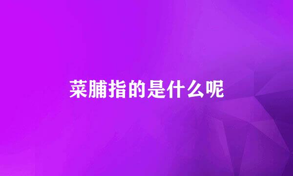菜脯指的是什么呢