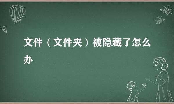 文件（文件夹）被隐藏了怎么办