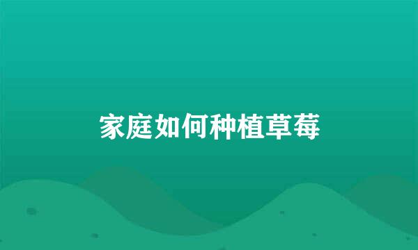 家庭如何种植草莓