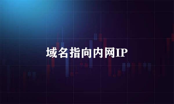 域名指向内网IP