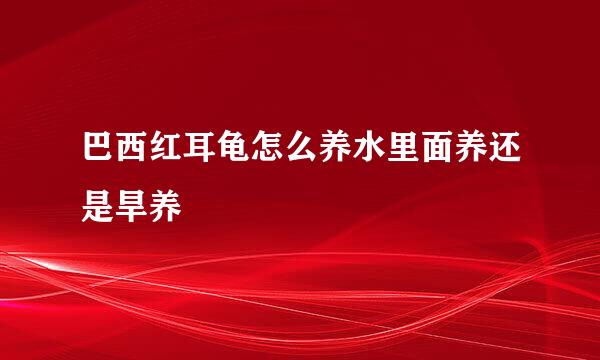 巴西红耳龟怎么养水里面养还是旱养