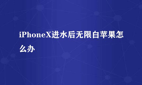 iPhoneX进水后无限白苹果怎么办