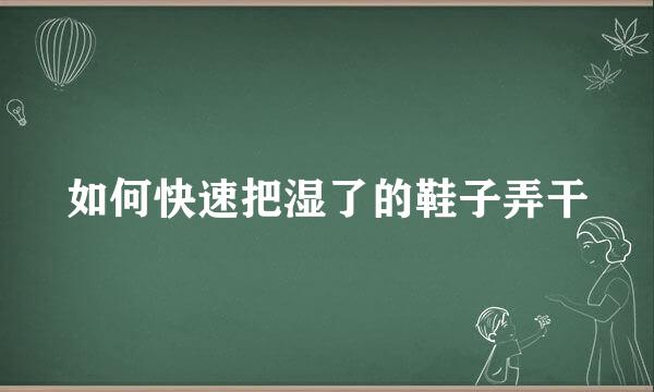 如何快速把湿了的鞋子弄干