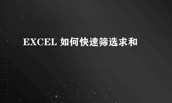 EXCEL 如何快速筛选求和