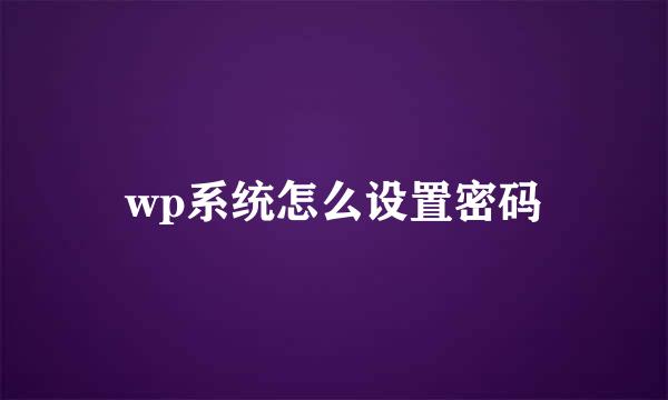 wp系统怎么设置密码