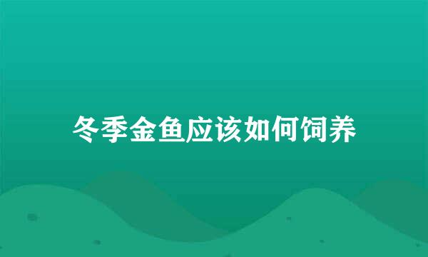 冬季金鱼应该如何饲养