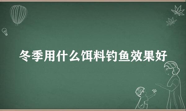 冬季用什么饵料钓鱼效果好