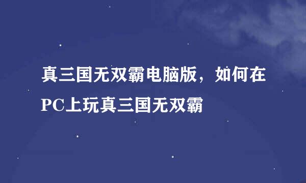 真三国无双霸电脑版，如何在PC上玩真三国无双霸