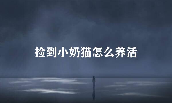 捡到小奶猫怎么养活