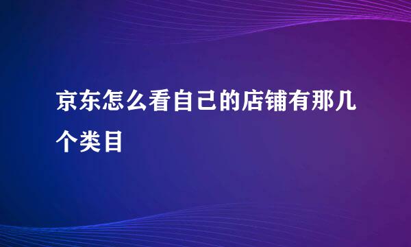 京东怎么看自己的店铺有那几个类目