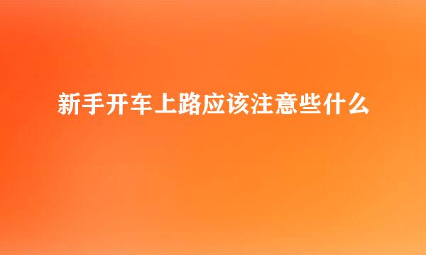 新手开车上路应该注意些什么