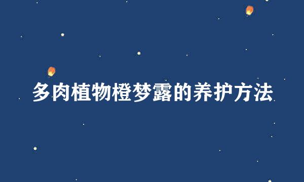 多肉植物橙梦露的养护方法