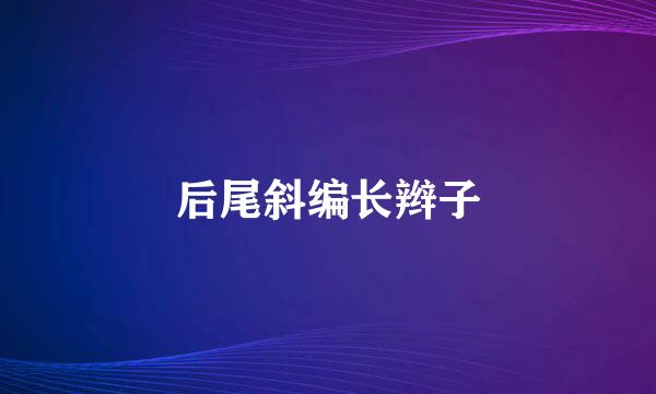 后尾斜编长辫子