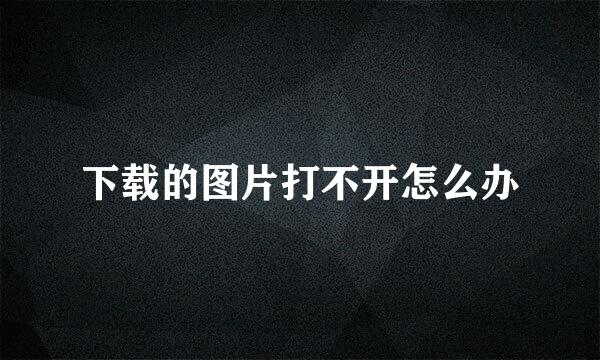 下载的图片打不开怎么办