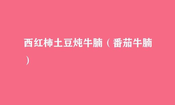 西红柿土豆炖牛腩（番茄牛腩）