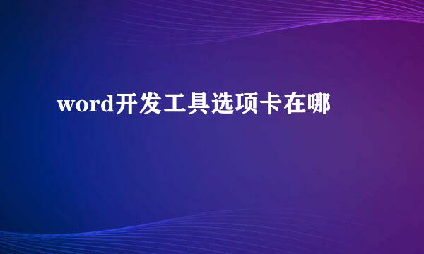 word开发工具选项卡在哪