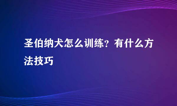 圣伯纳犬怎么训练？有什么方法技巧