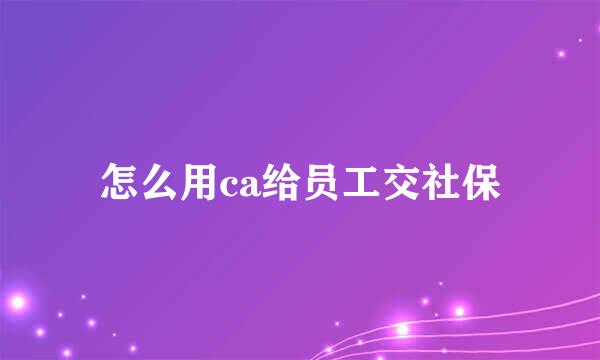 怎么用ca给员工交社保