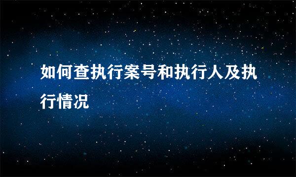 如何查执行案号和执行人及执行情况