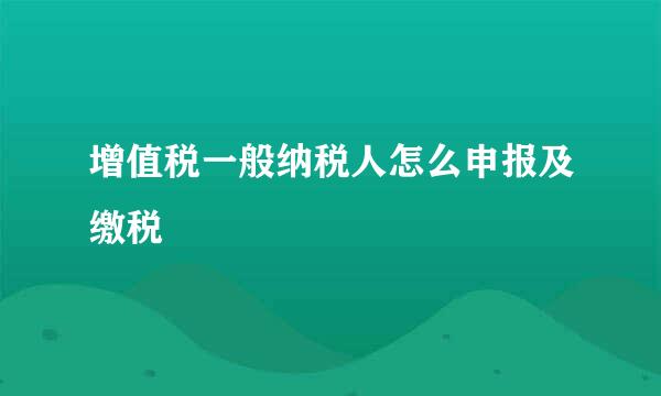 增值税一般纳税人怎么申报及缴税