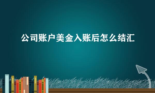 公司账户美金入账后怎么结汇