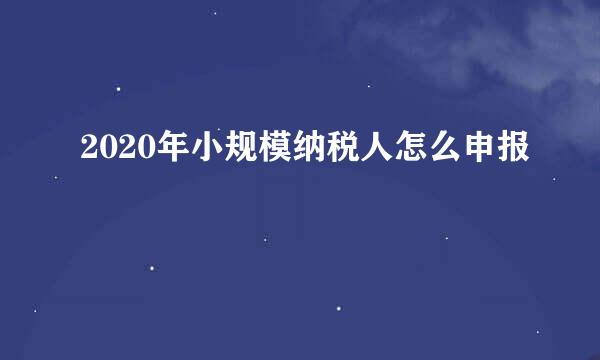 2020年小规模纳税人怎么申报