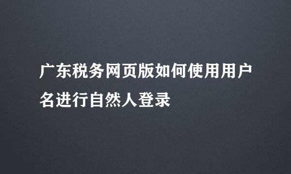 广东税务网页版如何使用用户名进行自然人登录