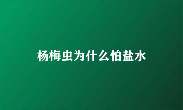 杨梅虫为什么怕盐水
