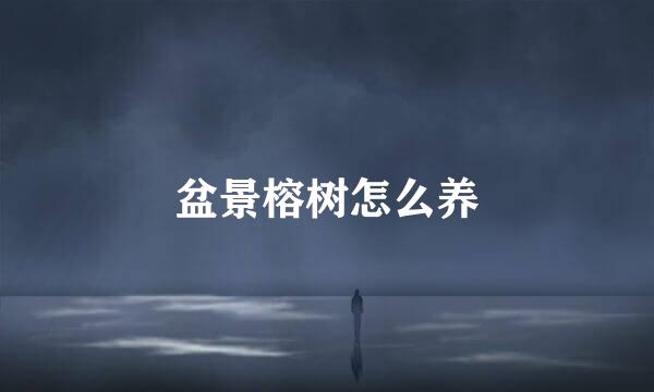盆景榕树怎么养