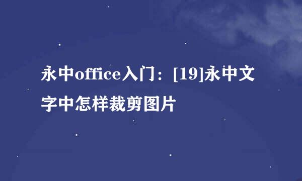 永中office入门：[19]永中文字中怎样裁剪图片