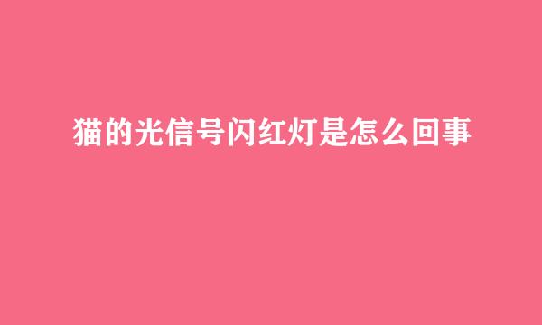猫的光信号闪红灯是怎么回事