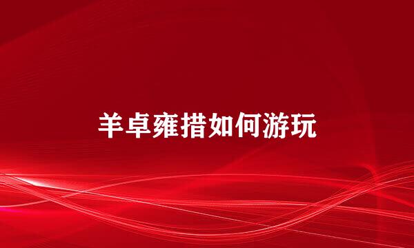 羊卓雍措如何游玩