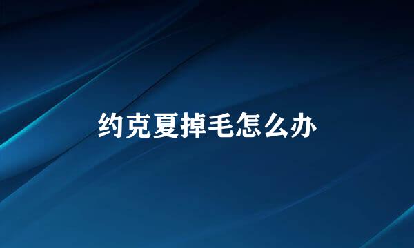 约克夏掉毛怎么办